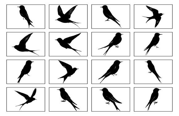 Common Swift Bird Silhouette Vector Set