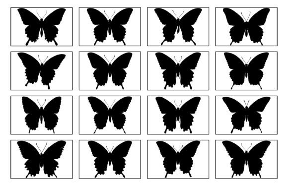 Papillon Silhouette Vector for T-Shirt